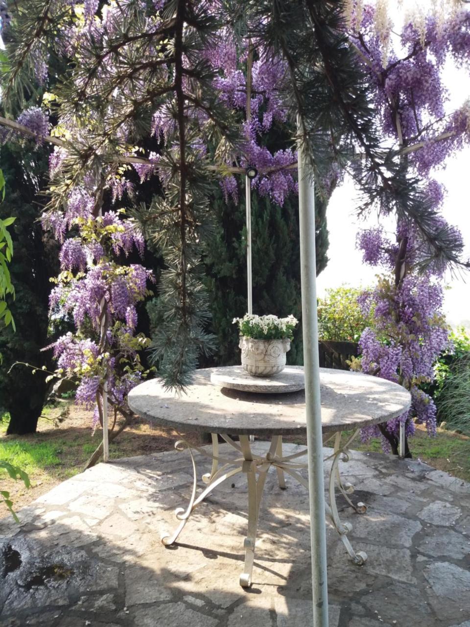Novecento B&B Bollengo Екстер'єр фото
